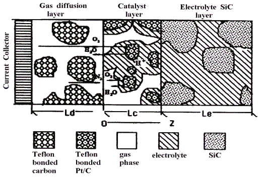 wpe10.jpg (119522 bytes)