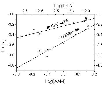 wpe1.jpg (58546 bytes)