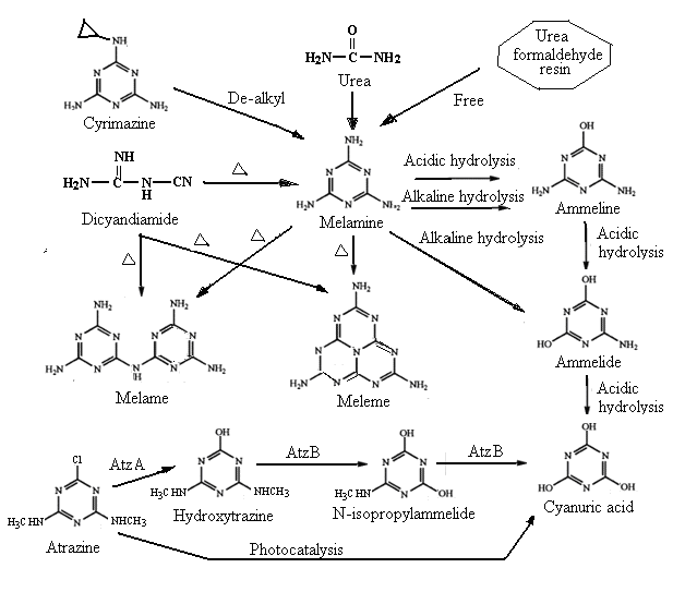 Cheap Famvir Without Prescription