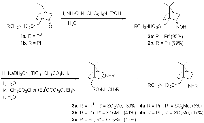 image1.gif (7539 bytes)