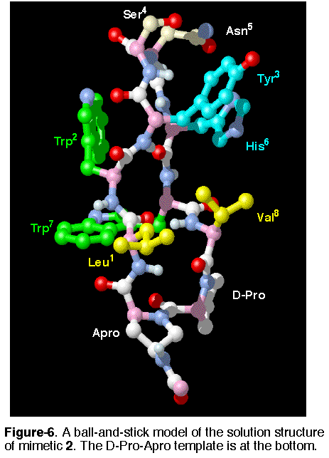 Figure-6: Model of mimetic 2