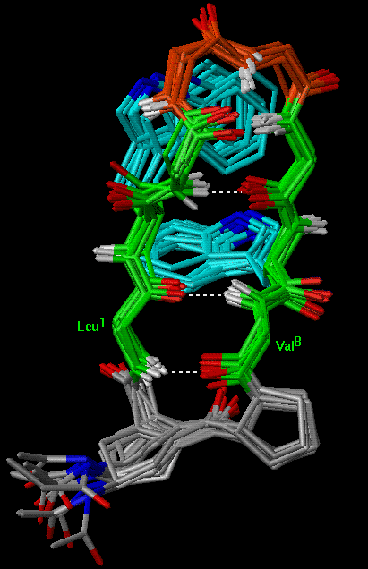 Figure-7:Superimposition of MD structures