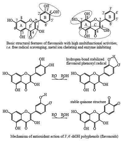 spampolyphenols-logo.jpg